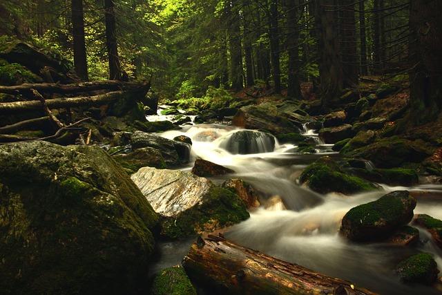 Zámečnická Pohotovost Jeseník – Nonstop Dispečink